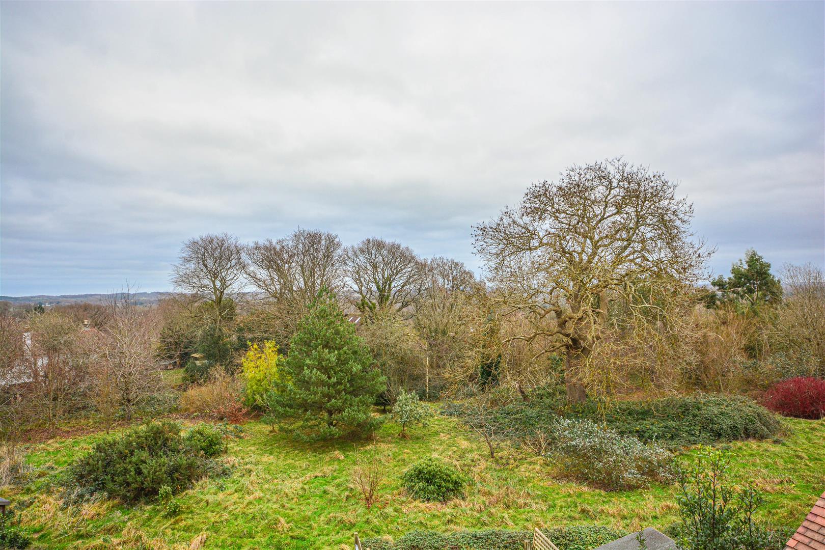 Caldbec Hill, Battle Rush, Witt & Wilson